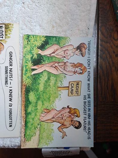 5 Bamforth nudist colony and snake charmer saucy postcards