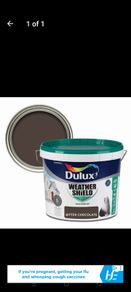 Exterior paint