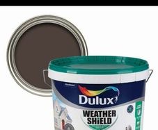 Exterior paint