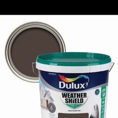 Exterior paint