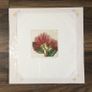 Unframed Limited Edition Print 'Pohutukawa Flower' 290/295 - Special Gift Image 2