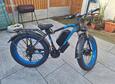 Electric Bike
