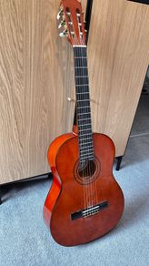 Ashton Guitar