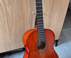 Ashton Guitar