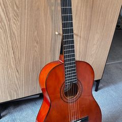 Ashton Guitar