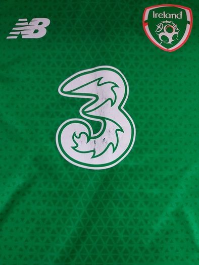 Ireland Jersey Medium Child