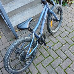Scott Contessa 20 Rigid Bike