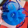Fascinator Image 3