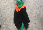 Cackling Halloween witch
