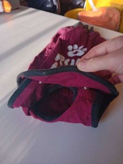 Dog surgery recovery suit Bellyguard rrp 30