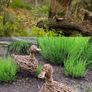 Willow products. Wicker sculptures. Handcrafted. Image 4