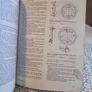 Workshop manual for the Morris Oxford Series 5 . 1959 to 1961. and Morris Oxford Series 6 .1961 to 1971. Image 6