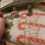 Alligator Vintage (N1606) Image 2