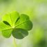 Import Ireland
