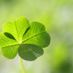 Import Ireland