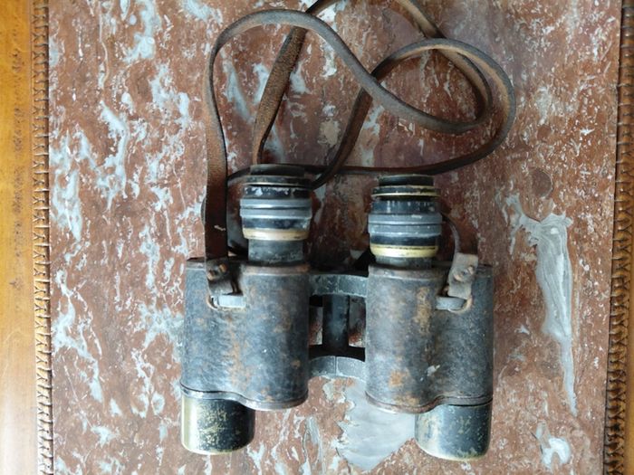 Vintage military field binoculars