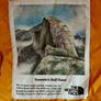 The North Face Men's Sierra Down Parka Jacket Image 8