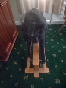 rocking horse