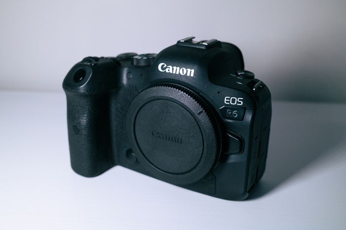 Canon R6 x2