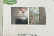 A.C. Newman - The Slow Wonder CD