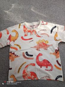 NEXT boys t-shirt .age 4/5