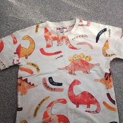 NEXT boys t-shirt .age 4/5