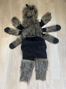 Halloween costume hairy spider tarantula