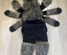 Halloween costume hairy spider tarantula