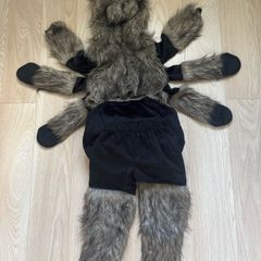 Halloween costume hairy spider tarantula