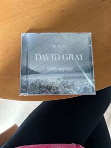 life in David Gray