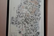 Vintage framed Dublin &amp; Wicklow Map