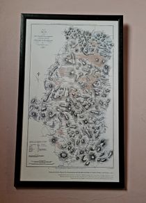 Vintage framed Dublin & Wicklow Map
