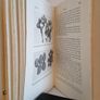 The Detection and Control of Garden Pests by G. Fox Wilson (HQ540) Image 4