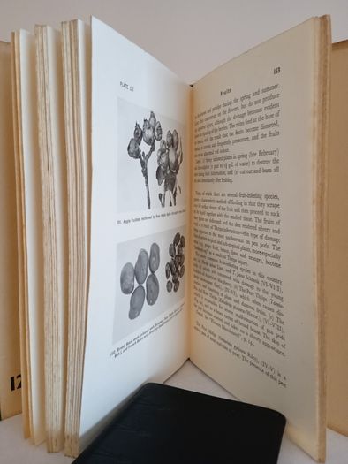 The Detection and Control of Garden Pests by G. Fox Wilson (HQ540)