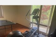 Precor Eliptor EFX 556