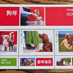 2006 Ireland Chinese New Year Year of the Dog Commemorative Stamps Miniature Sheet Mint Never Hinged (MNH)