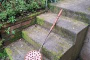 By post only Antique copper bed warmer
