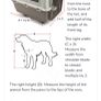 dog crate/carrier Image 5