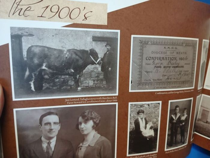 Dunderry, Meath local history