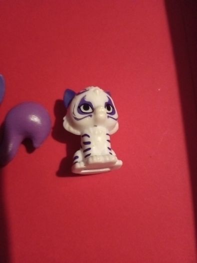 shimer and shine pets
