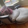 Couch and cuddler for sale. Image 2