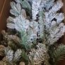 Christmas tree Image 2