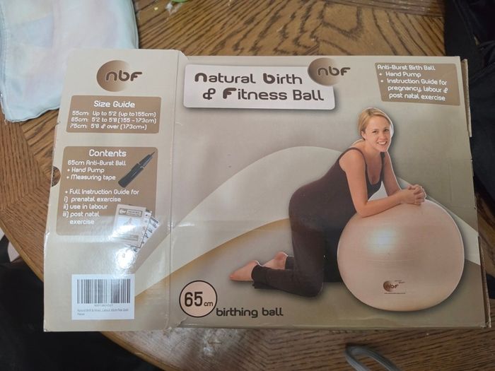 Pregnancy or fitness ball