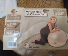 Pregnancy or fitness ball