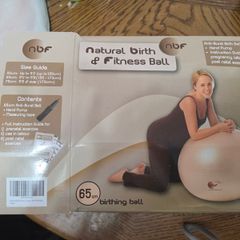 Pregnancy or fitness ball