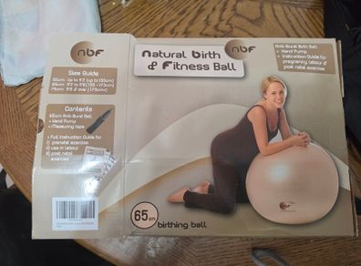 Pregnancy or fitness ball