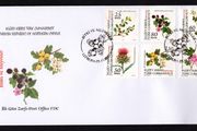 2011 Cyprus Flora - Local Plants and Fruits Commemorative Stamps Post Office First Day Cover (FDC)