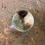 Halloween & Witchy Prop Box - Approx. 15 Pieces Image 3