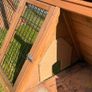 hutch and run Image 3