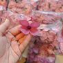 dusky pink flower bundle wholesale artificial Image 2